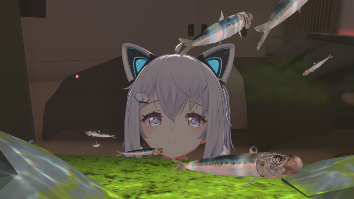 2024年5月の思い出1